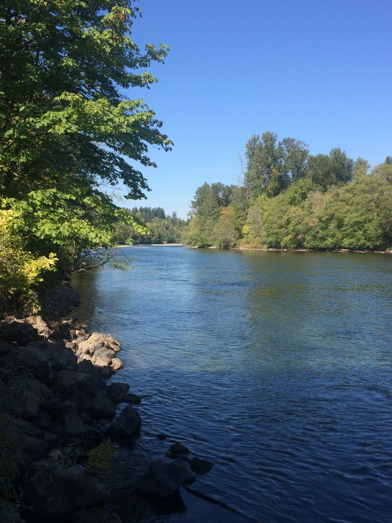 Students and river — STEM Initiatives at the Cowlitz River