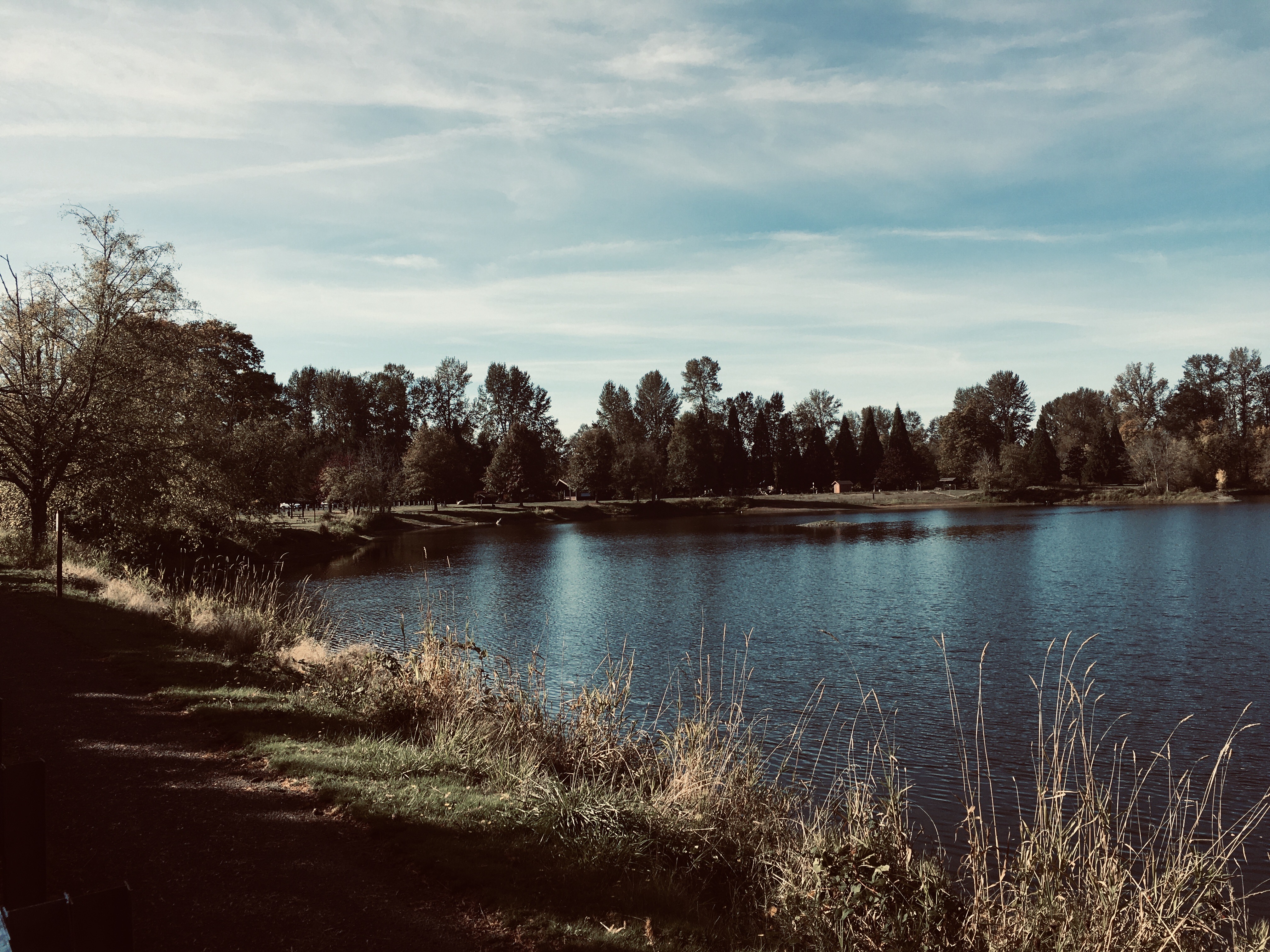 Wallace Pond at South Lewis County Park